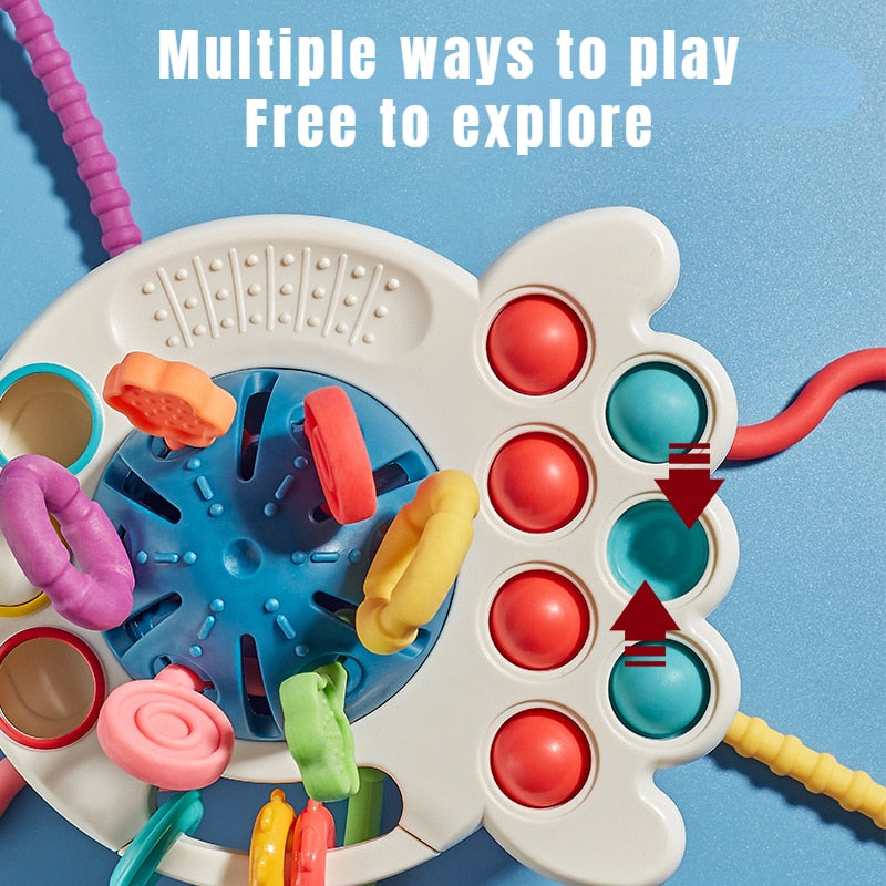 Montessori Sensory Baby Toys
