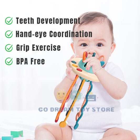 Montessori Sensory Baby Toys